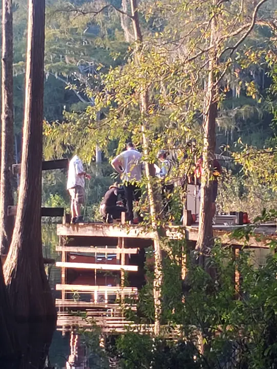 Crew rigging a lakeside dock through cypress trees