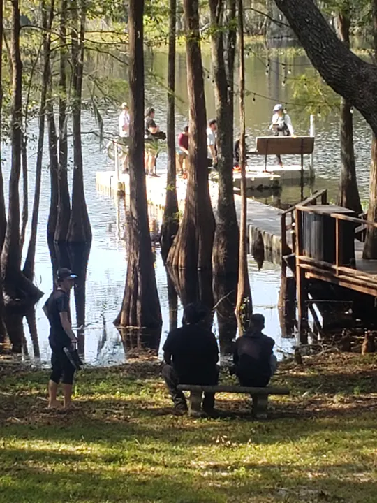 Crew on a cypress swamp dock, seen through the trees